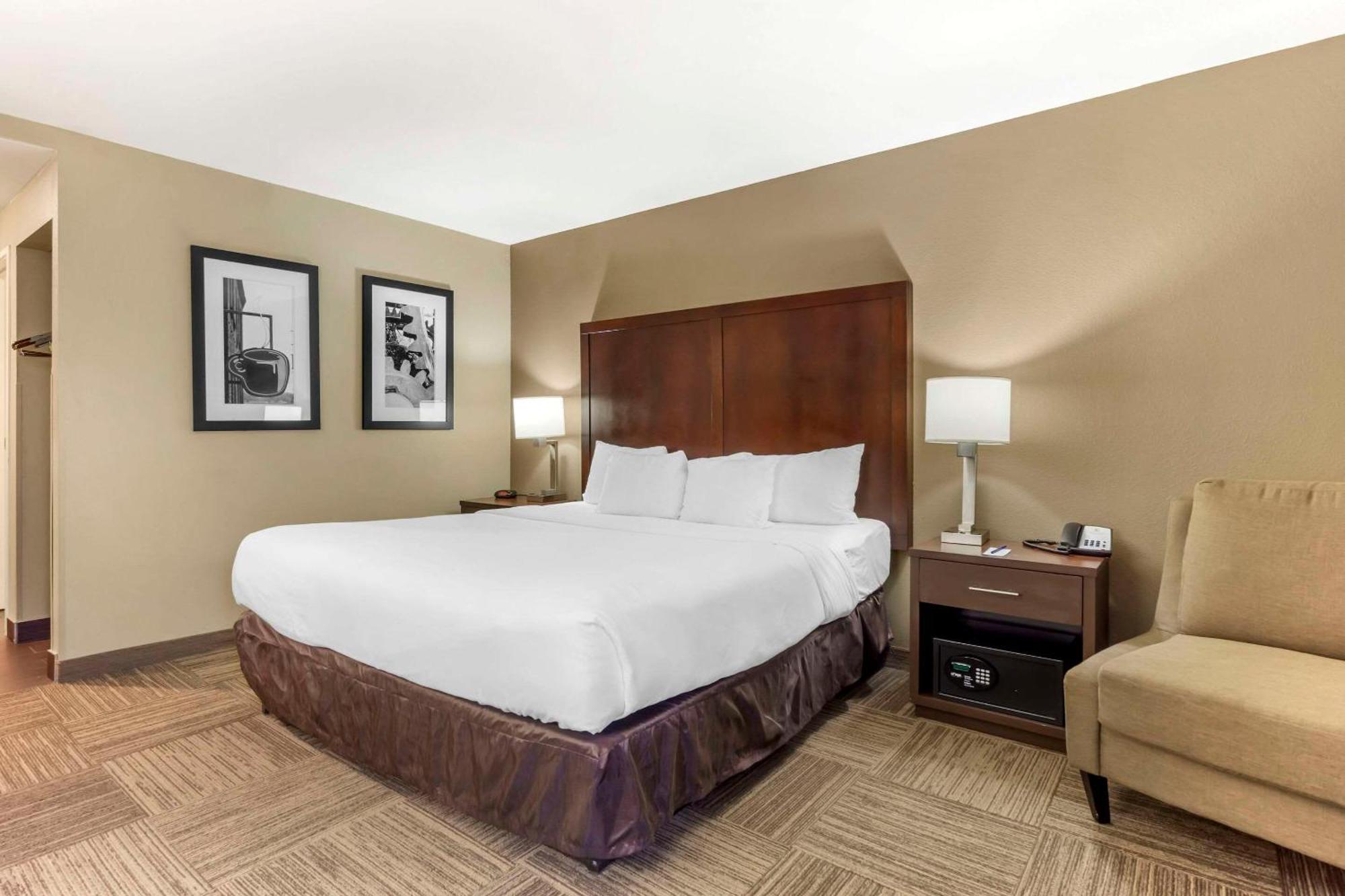 Comfort Inn & Suites Sea-Tac Airport SeaTac Exterior foto
